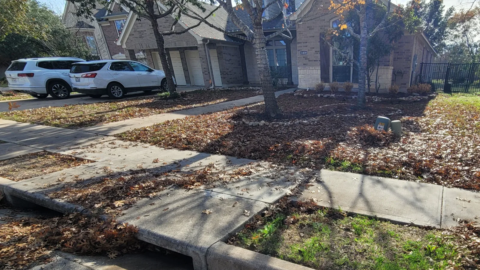 Front yard buried in fallen leaves before Texican's fall cleanup