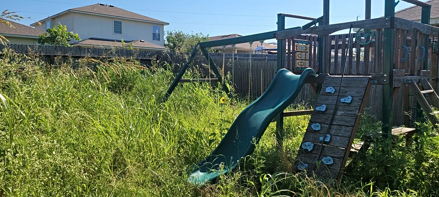 Backyard with knee-high overgrown grass before mowing