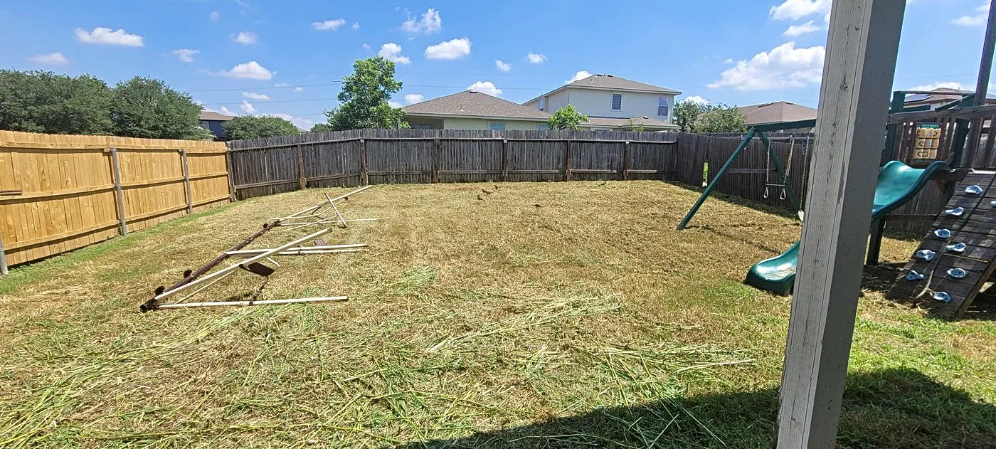 Same backyard mowed and cleared, fence line visible